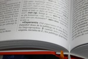 language2
